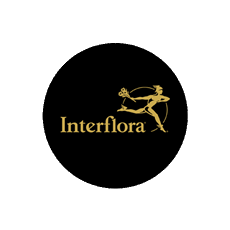 Codici Sconto Interflora