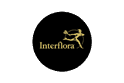 Offerta Interflora - flower box a partire da 45 €