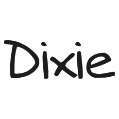buoni sconto Dixie